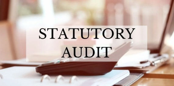 Statutory Audit